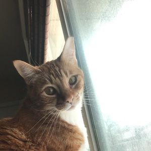 Meet your Posher, Lizzy